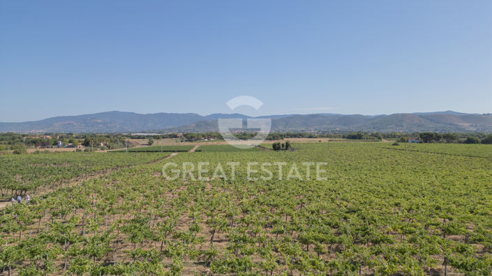 Image No.26-2 Bed Country House for sale