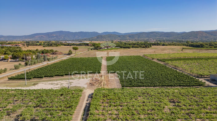 Image No.29-2 Bed Country House for sale