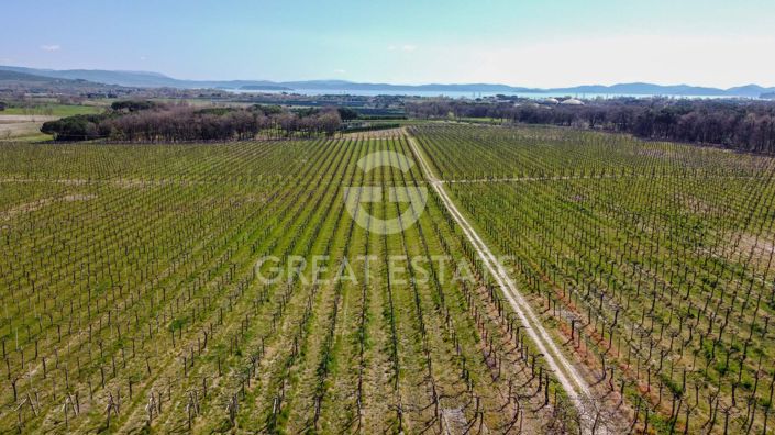 Image No.32-2 Bed Country House for sale