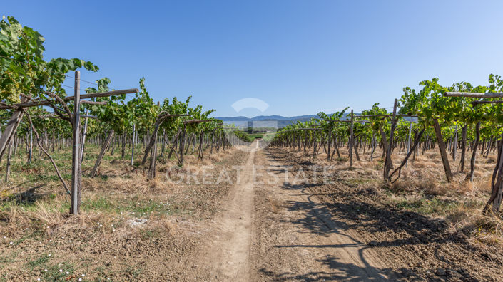 Image No.4-2 Bed Country House for sale