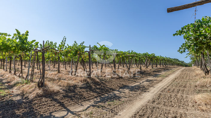 Image No.7-2 Bed Country House for sale