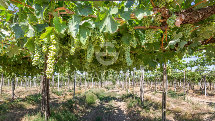 Image No.8-2 Bed Country House for sale