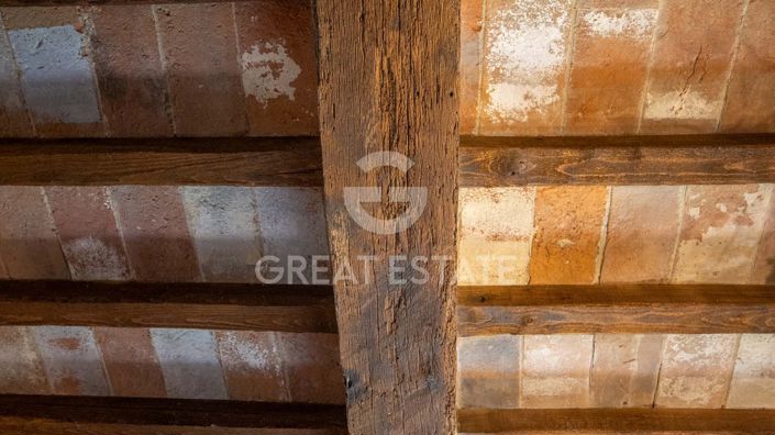 Image No.42-5 Bed Country House for sale