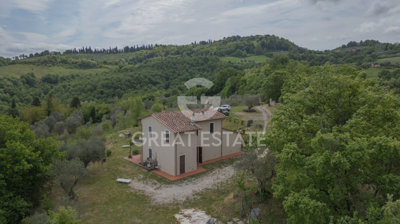 Photo_9