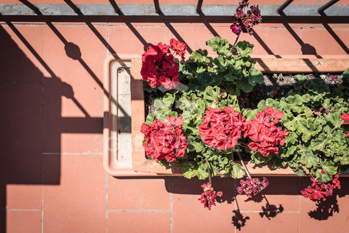 Image No.13-9 Bed Country House for sale