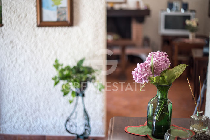 Image No.21-9 Bed Country House for sale