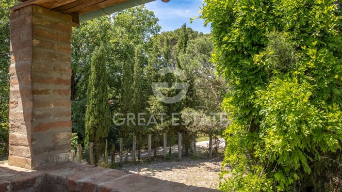 Image No.15-Maison de campagne de 4 chambres à vendre à Castiglione del Lago