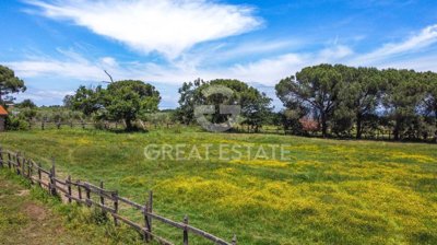 vendesi-rustico-casale-in-umbria-perugia-cast