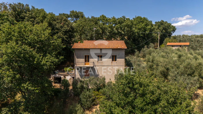 Image No.12-3 Bed Country House for sale