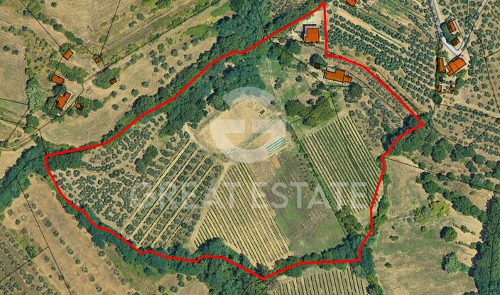 Image No.2-floorplan-2