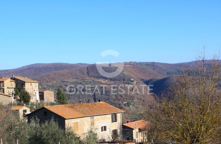 Image No.28-4 Bed Country House for sale