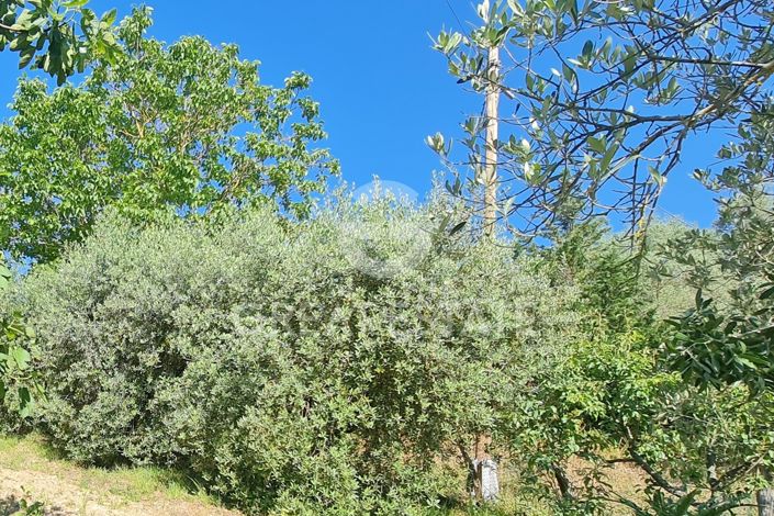 Image No.35-4 Bed Country House for sale