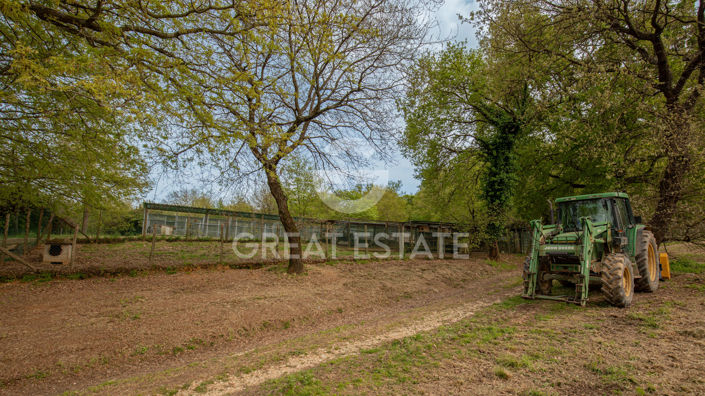 Image No.21-5 Bed Country House for sale