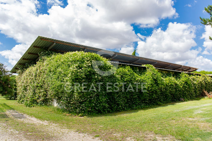 Image No.50-18 Bed Country House for sale