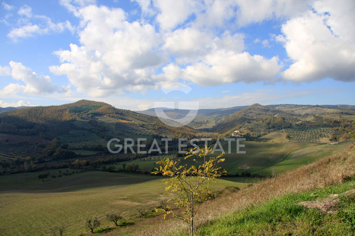 Image No.13-5 Bed Country House for sale