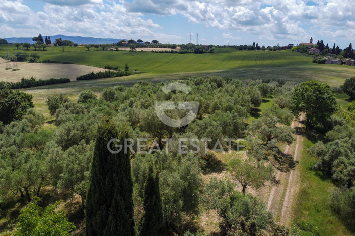 Image No.25-4 Bed Country House for sale