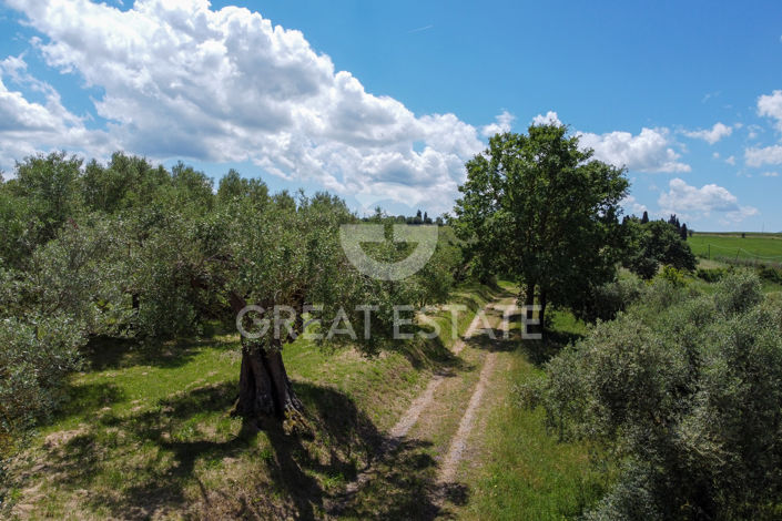 Image No.27-4 Bed Country House for sale