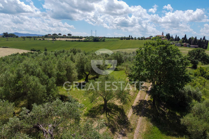 Image No.28-4 Bed Country House for sale