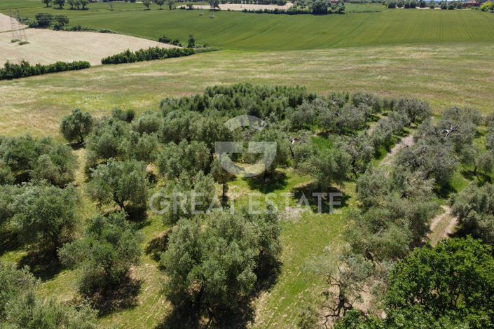 Image No.29-4 Bed Country House for sale