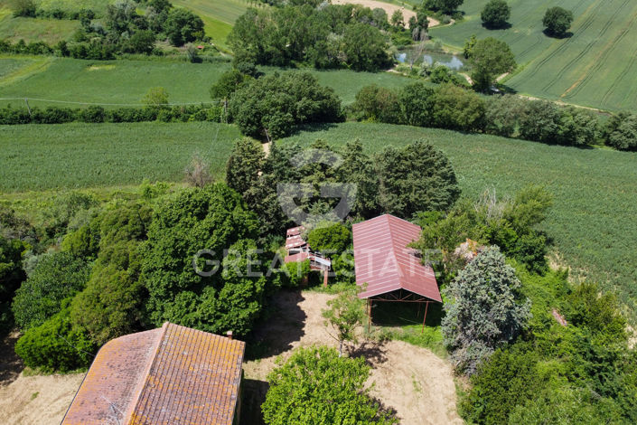 Image No.4-4 Bed Country House for sale