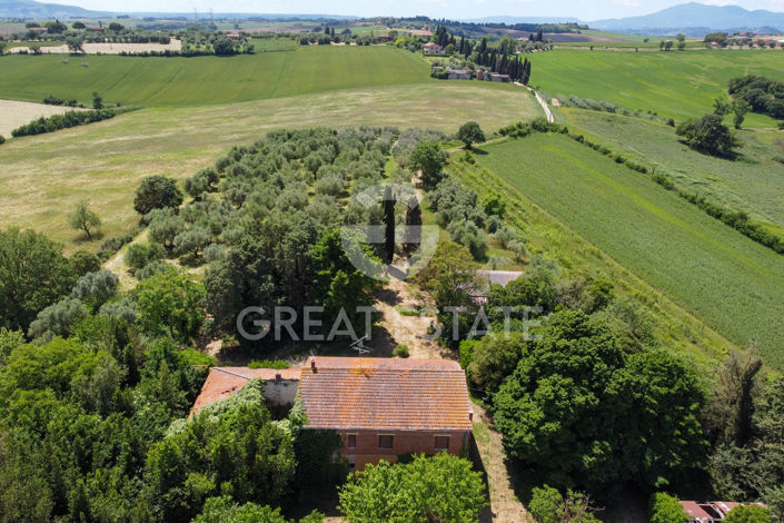 Image No.7-4 Bed Country House for sale