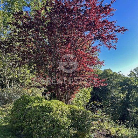 Image No.29-3 Bed Country House for sale