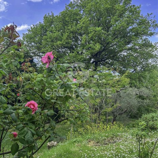 Image No.31-3 Bed Country House for sale