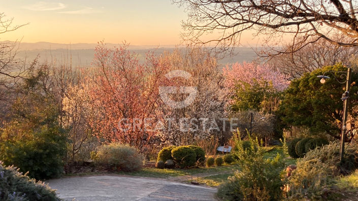 Image No.36-3 Bed Country House for sale