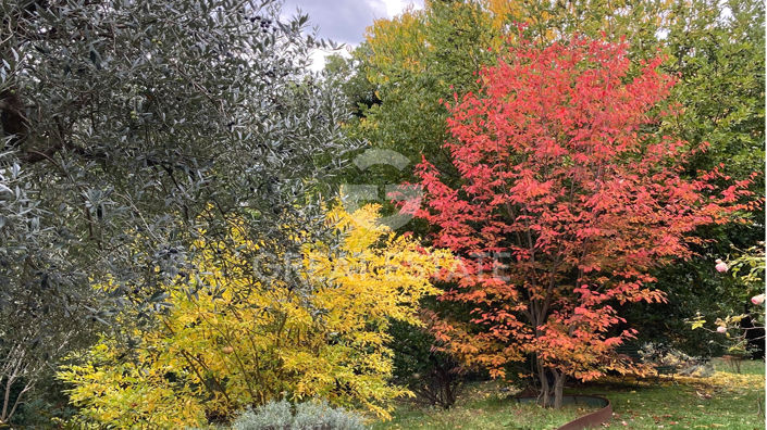 Image No.38-3 Bed Country House for sale