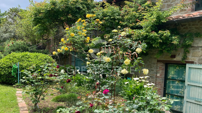 Image No.40-3 Bed Country House for sale