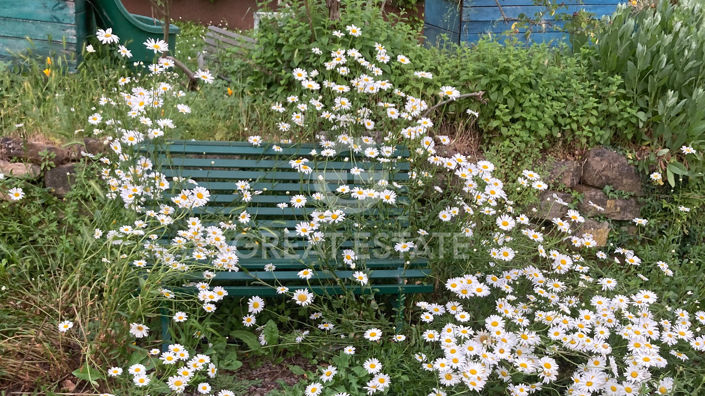 Image No.41-3 Bed Country House for sale