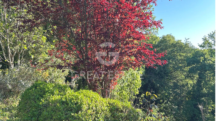 Image No.42-3 Bed Country House for sale