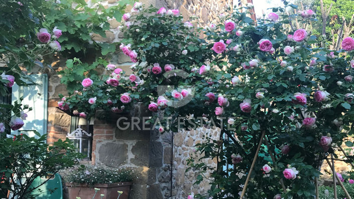 Image No.43-3 Bed Country House for sale