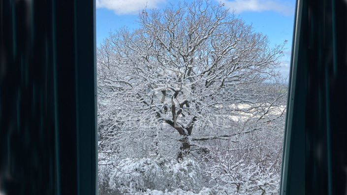 Image No.45-3 Bed Country House for sale