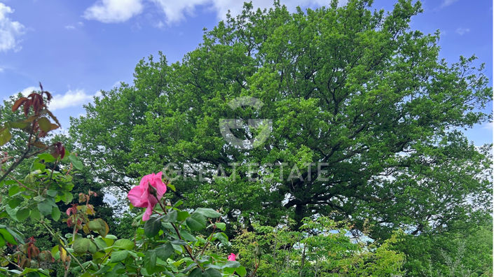 Image No.46-3 Bed Country House for sale