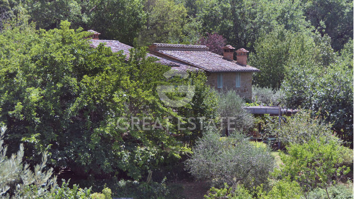 Image No.47-3 Bed Country House for sale