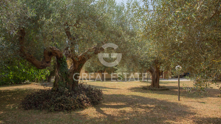 Image No.10-Villa de 2 chambres à vendre à Tuoro sul Trasimeno
