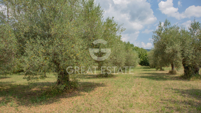 Image No.30-Villa de 2 chambres à vendre à Tuoro sul Trasimeno