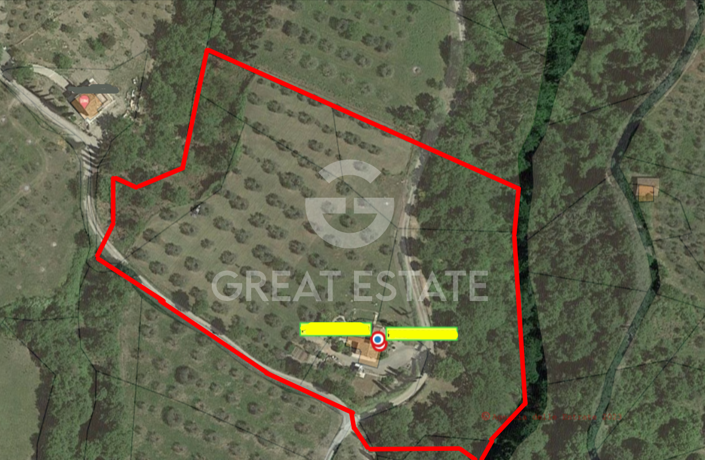 Image No.2-floorplan-2