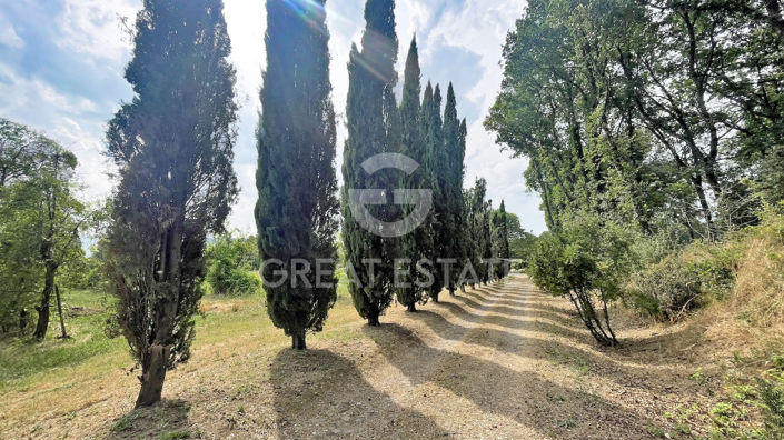 Image No.40-6 Bed Country House for sale