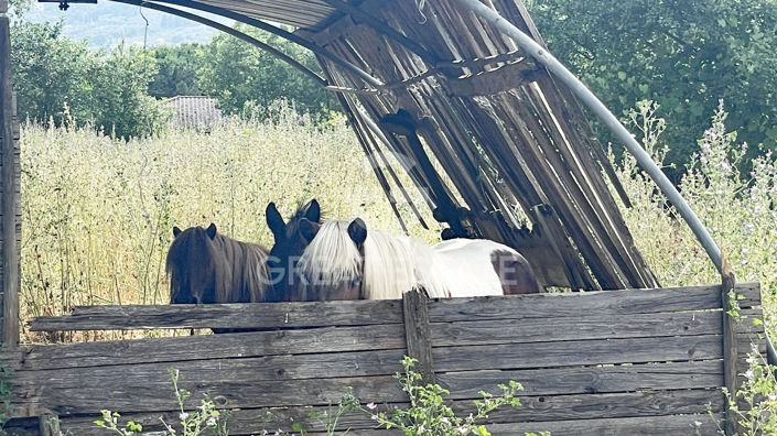 Image No.42-6 Bed Country House for sale