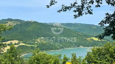 Photo_4