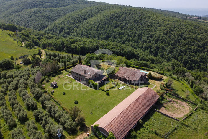 Image No.4-11 Bed Country House for sale