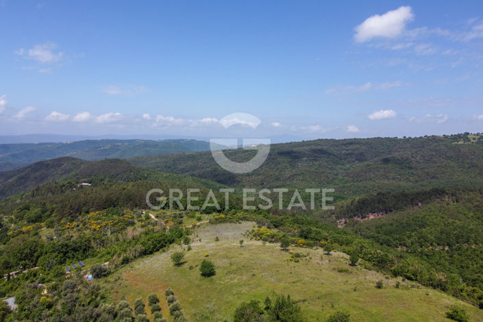 Image No.41-11 Bed Country House for sale