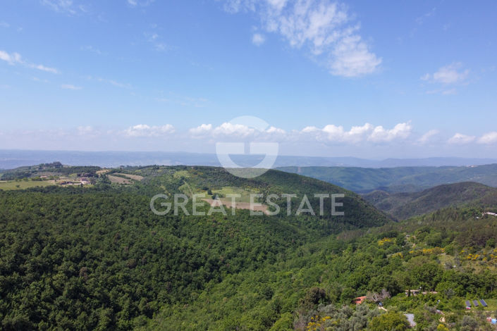 Image No.42-11 Bed Country House for sale