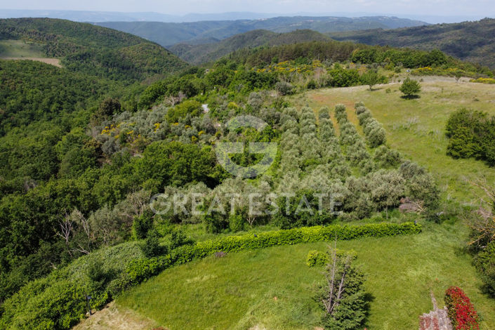 Image No.48-11 Bed Country House for sale