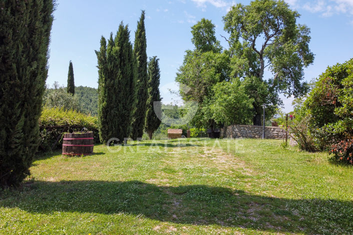 Image No.49-11 Bed Country House for sale