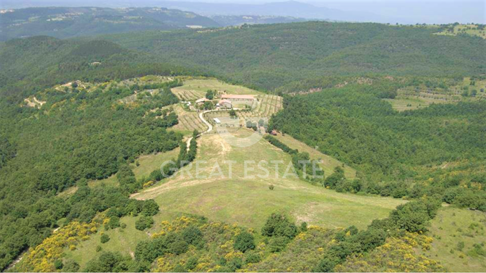 Image No.50-11 Bed Country House for sale