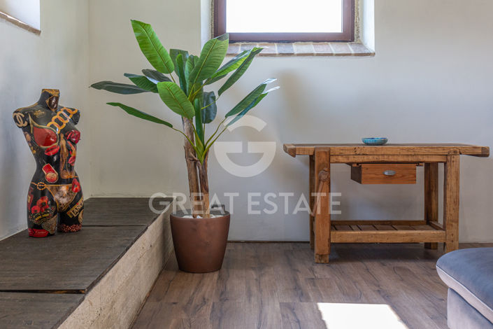 Image No.41-9 Bed Country House for sale