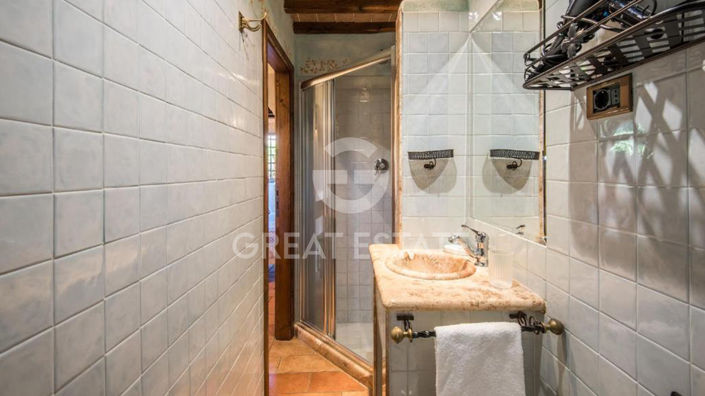 Image No.43-Maison de campagne de 10 chambres à vendre à Rapolano Terme